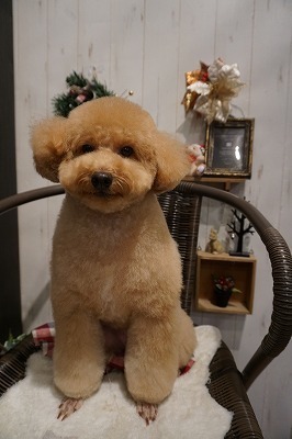 ここあ.jpg