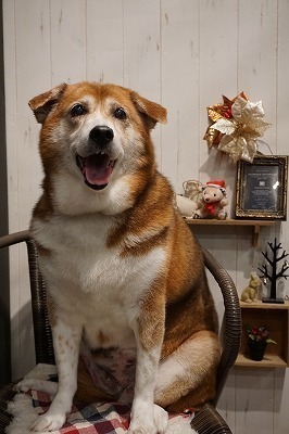 チョコ.jpg