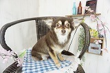 モンロー.jpg