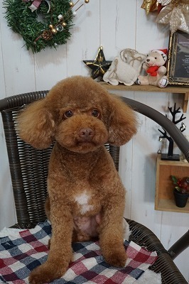 ラッキー.jpg