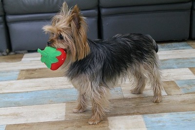IMG_5350.jpg