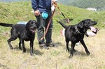 s-IMG_3542.jpg