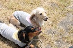 s-IMG_3544.jpg