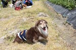 s-IMG_3547.jpg
