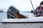 s-IMG_3610.jpg
