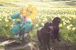 s-IMG_3681.jpg