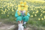 s-IMG_3682.jpg